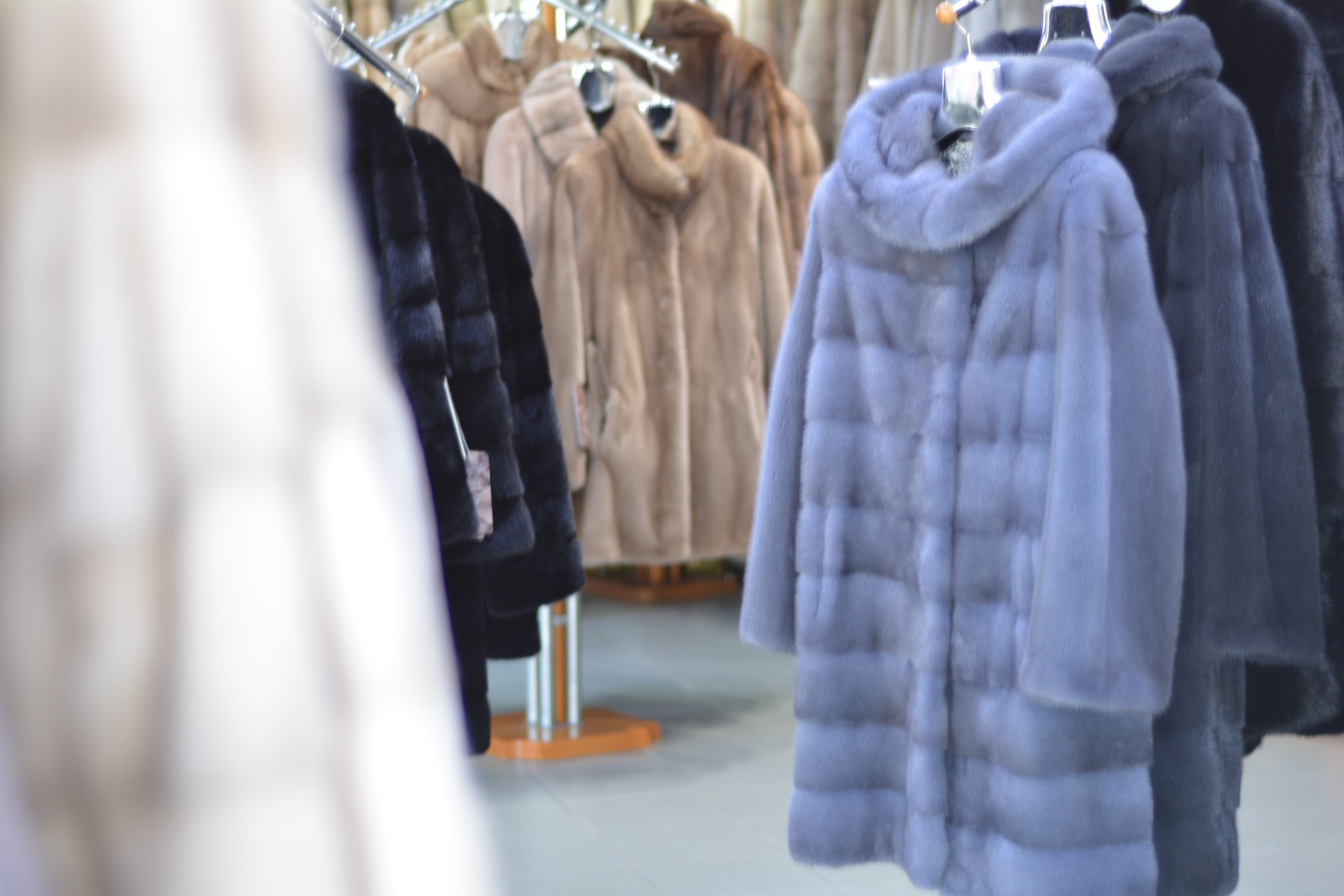 Fur coats in Greece or fur cycle.