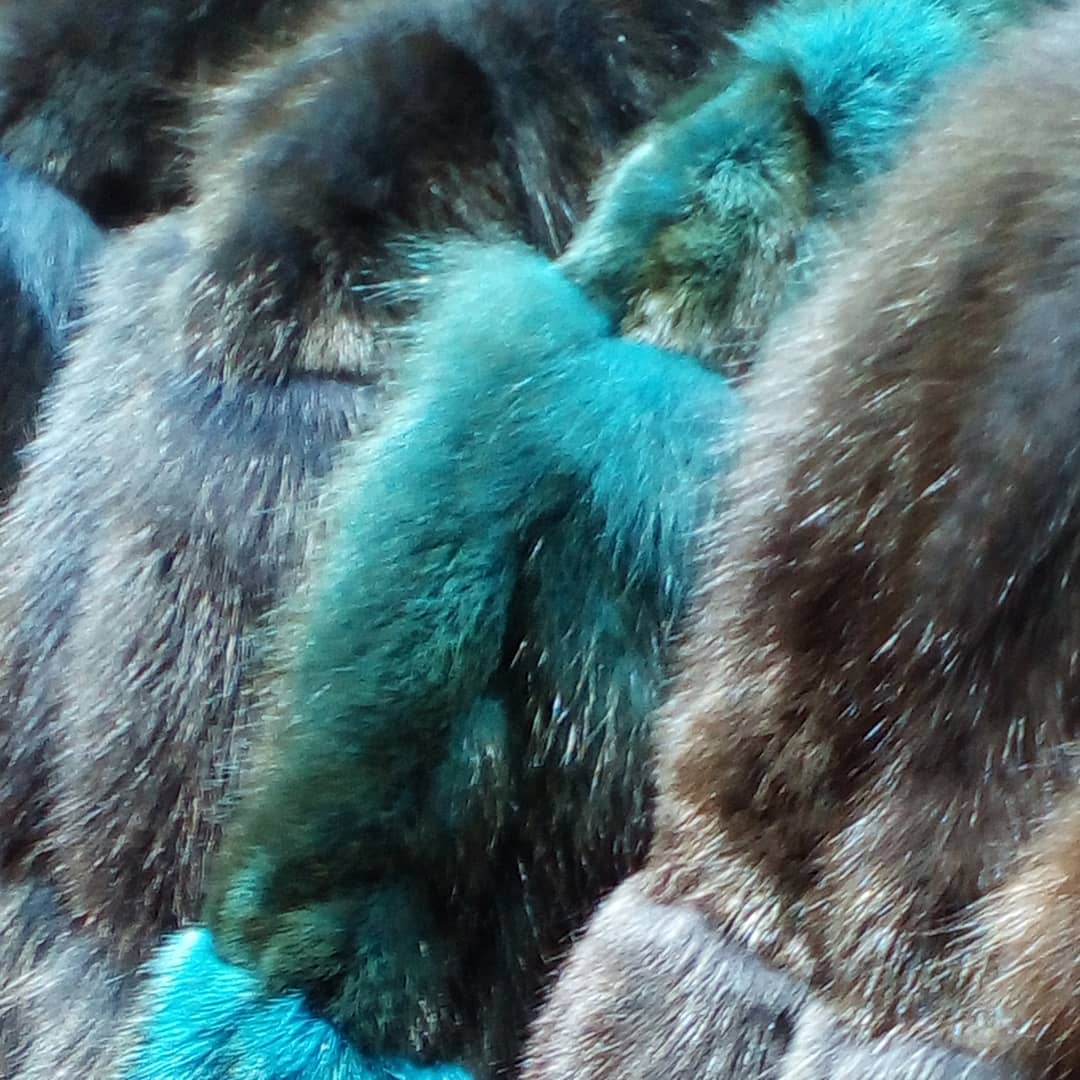 Saga Furs Design Center. 